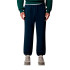 Pantalon The North Face Simple Dome Regular Tapered Summit Bleu Marine Homme