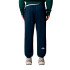 Pantalon The North Face Simple Dome Regular Tapered Summit Bleu Marine Homme