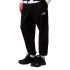 Pantalon de montagne The north Face Simple Dome Regular Tapered Noir Homme