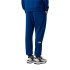 Pantalón The north Face Reaxion 2.0 Jogger Estate Azul Heather Hombre