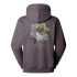 Moletom The north Face Connect Relaxed Sweatshirt Cinza Homem