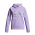 Sudadera Under Armour Rival Flc Shimmer Hdy Niña Morado