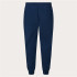 Calça Oakley Relax Jogger 2.0 Azul