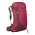 Sac à dos De Montagne Osprey Sirrus 26 Femme Elderberry Violet