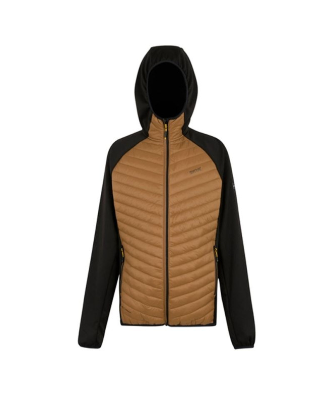 Veste de Montagne Regatta Andreson Hybrid Homme...