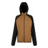 Casaco de Montanha Regatta Andreson Hybrid Homem Marrom/Preto