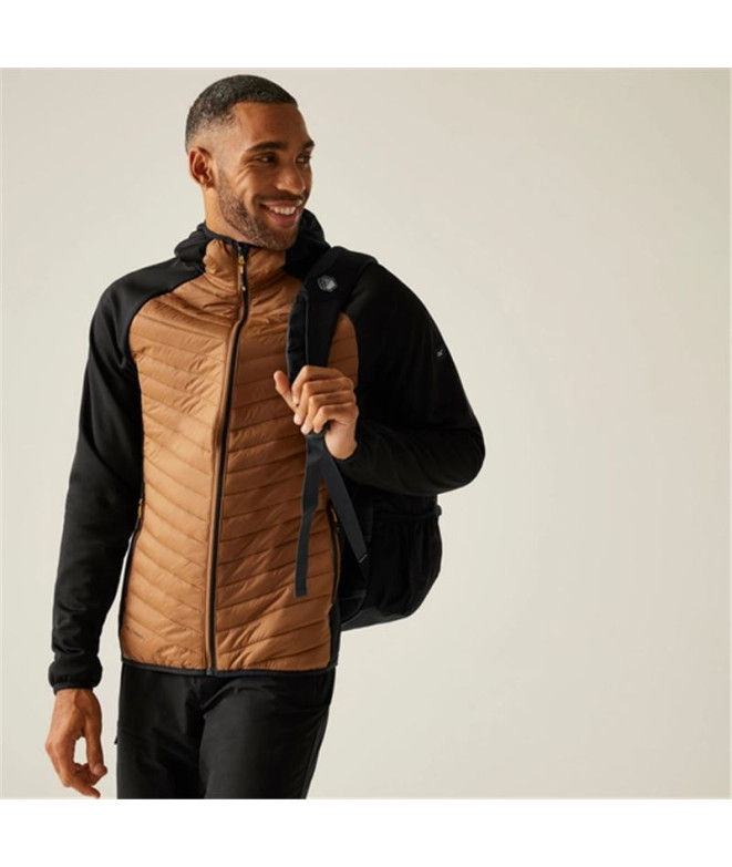 Veste de Montagne Regatta Andreson Hybrid Homme...