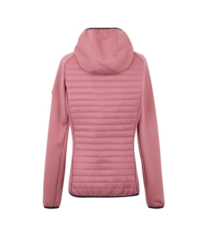Veste de Montagne Regatta Andreson Hybrid Femme...