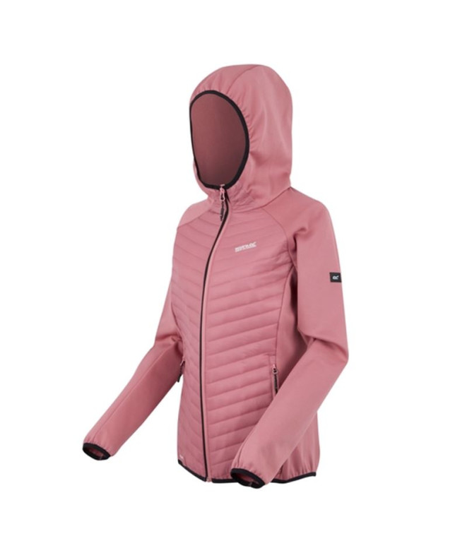 Veste de Montagne Regatta Andreson Hybrid Femme...