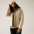 Chaqueta de Montaña Regatta Hooded Marizion Baffled Mujer Beige