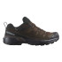 Sapatilhas Salomon X Ultra 360 Ltr Gtx Dkeart/Dlciso Dark Earth/Delicios Homem