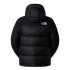 Casaco de Montanha The North Face M Hmlyn Down Parka Homem Tnf Preto