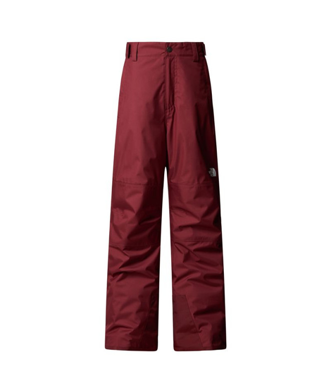 Pantalon de Ski et Snowboard The north Face B...