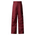 Pantalón de Esquí y snow The north Face B Freedom Insulated Sumac