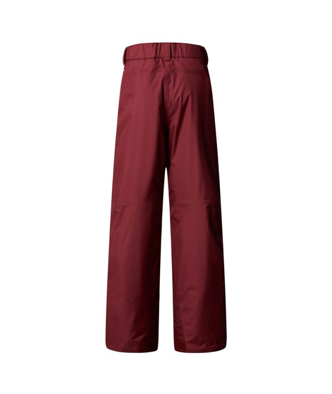 Pantalon de Ski et Snowboard The north Face B...