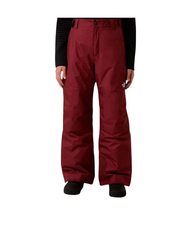 Pantalon de Ski et Snowboard The north Face B...