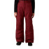 Pantalón de Esquí y snow The north Face B Freedom Insulated Sumac