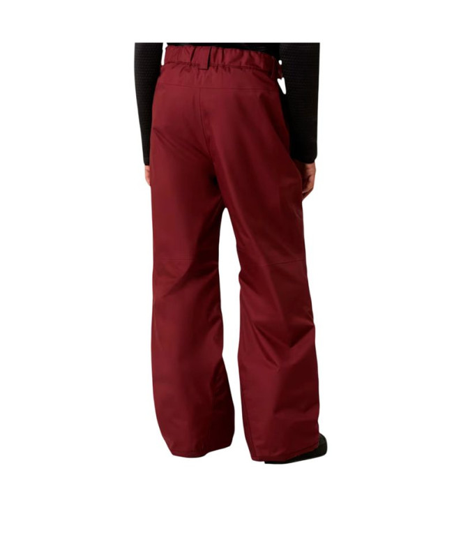 Pantalon de Ski et Snowboard The north Face B...