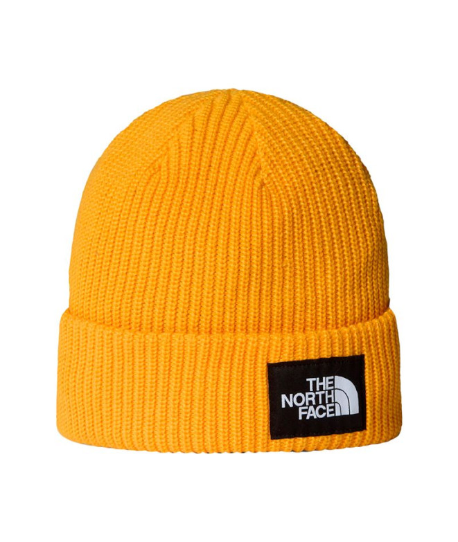 Gorro de Montaña The north Face Salty Lined...