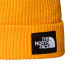 Gorro de Montaña The north Face Salty Lined Summit Dorado Hombre