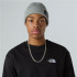 Gorro de Montaña The north Face Salty Lined Tnf Light Gris Hombre