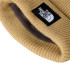 Bonnet de Montagne The north Face Salty Lined Khaki Stone Homme