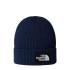 Gorro de Montaña The north Face Tnf Logo Box Cuffed Summit Azul Marino Hombre