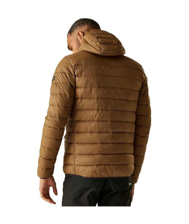 Veste de Montagne Regatta Marizion Homme Marron