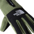 Guantes de Montaña The north Face Denali Etip Bark Mist Hombre