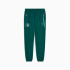 Pantalón de Fútbol Puma Manchester City tech Woven Hombre Malachite/Silver Sky