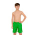 Fato de banho De Natação Zoggs Penrith 15 Inch Shorts Ed Menino Verde