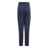 Survêtement adidas Sere Ts Enfant Tinley