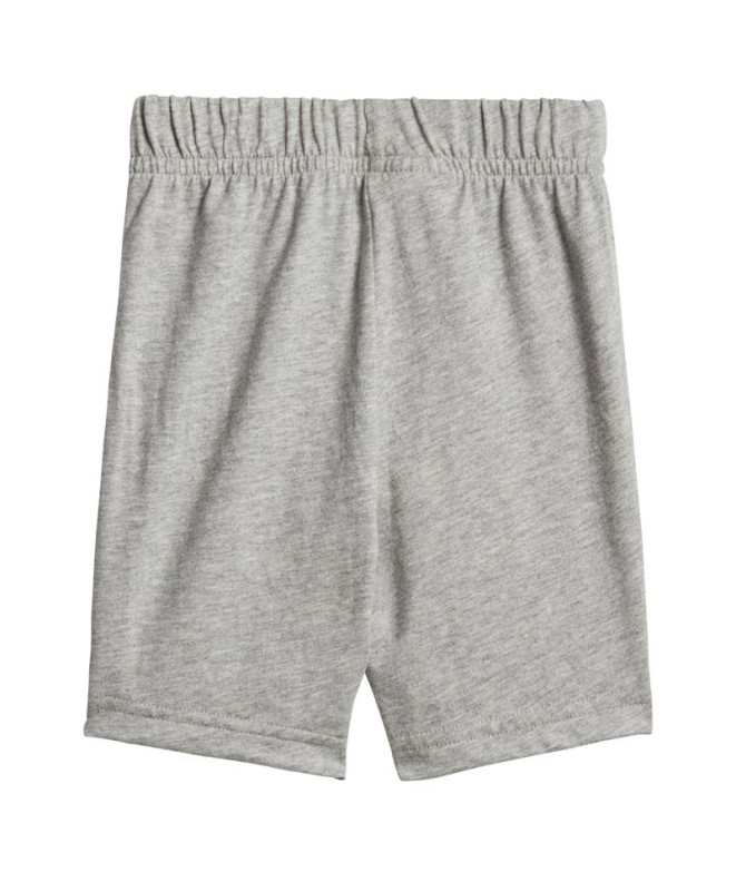 Conjunto de sportswear adidas Badge of Sport...