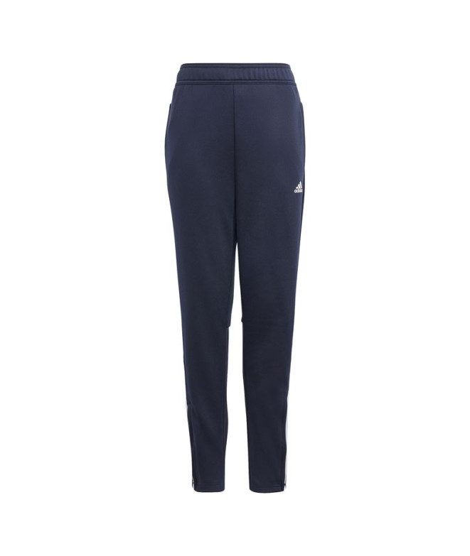 Pantalón adidas Sere Niño Tinley Azul