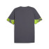 Camiseta de Fútbol Puma Individualcup Hombre Galactic Gray