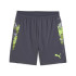 Pantalón de Fútbol Puma Individualcup s Hombre Galactic Gray