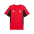 Camiseta de Fútbol Puma AC Milan Ftblarchive Hombre For All Time Rojo