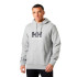 Moletom Helly Hansen Logo Homem Cinza