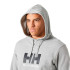 Moletom Helly Hansen Logo Homem Cinza