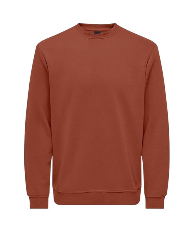 Sudadera Only & Sons Onsconnor Reg Crew Neck...