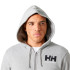 Casaco de Montanha Helly Hansen Hh Logo Fz Homem Cinza