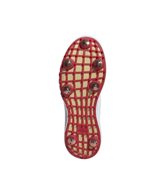 Zapatillas de Cricket adidas Howzat Spike 20...