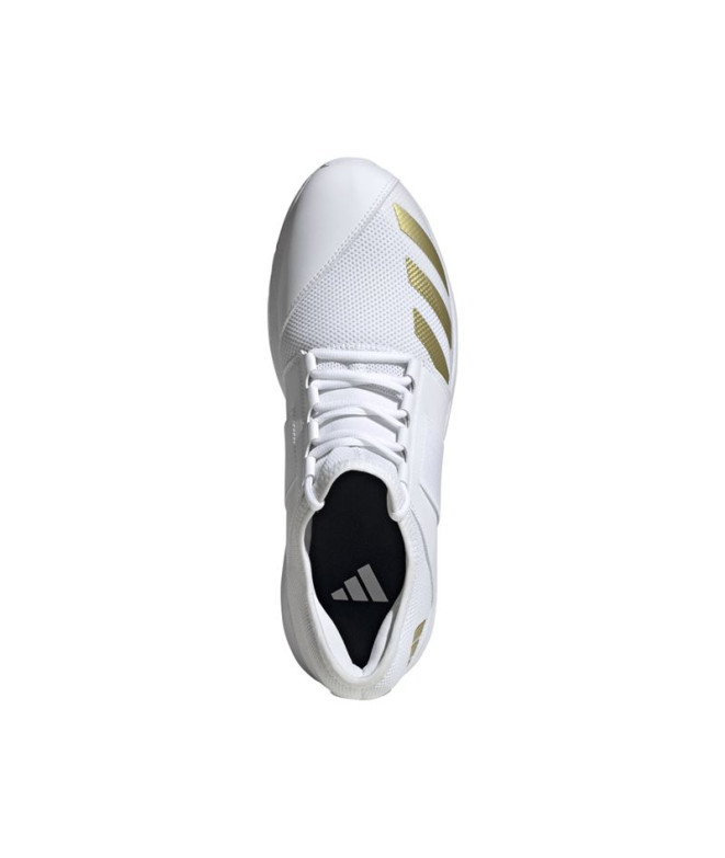 Zapatillas de Cricket adidas Howzat Spike 20...