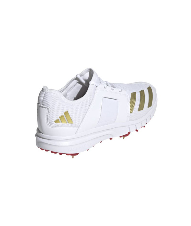 Zapatillas de Cricket adidas Howzat Spike 20...