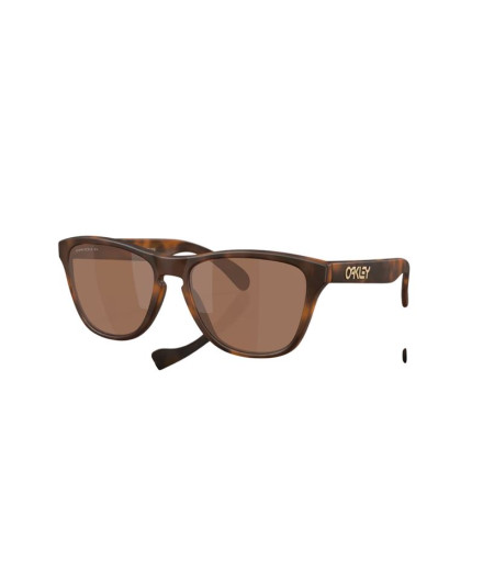 Gafas de sol Oakley Frogskin S ombre H Mate
