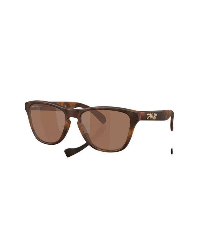 Lunettes de soleil Oakley Frogskin S ombre H Mate