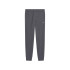 Pantalon Champion Icons Homme Gris