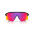 Lunettes de soleil Oakley Stunt Devil Noir Mat Prizm Route