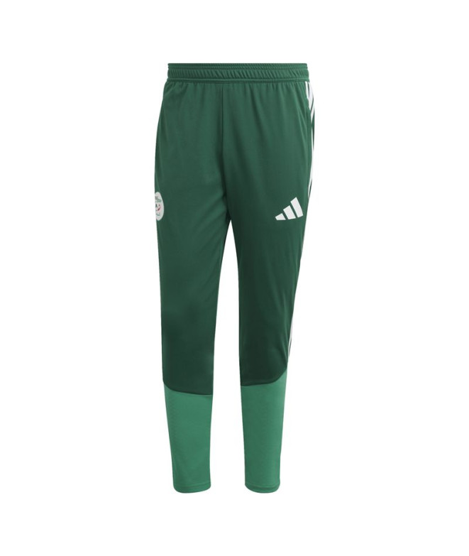 Calça adidas Federação Argélia Tr Homem