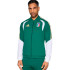 Chaqueta de Fútbol adidas Italy Figc Pre 25/26 Hombre Verde